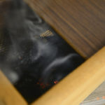 Experiencing Tokyo Like a Local