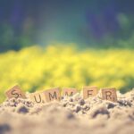 Akupunktur für den Sommer: TCM-Tipps für Hitze, Energie und innere Balance